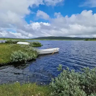 Nordseter Sjusjøen fiske
