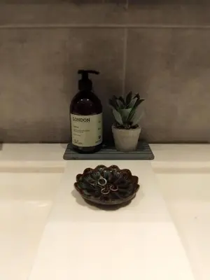 a bottle of soap and a plant on a counter at Apartment in Stryn in Stryn