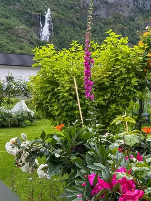 a garden with flowers and a waterfall in the background at Flåm Tinyhouse with a Waterfall View in Flåm