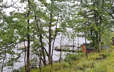 a view of a river with a boat in the water at Nice Home In Aksdal With House Sea View in Aksdal