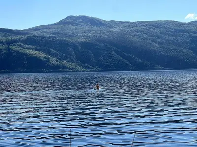 a person swimming in a large body of water at Fjord view apartment in Vaksdal