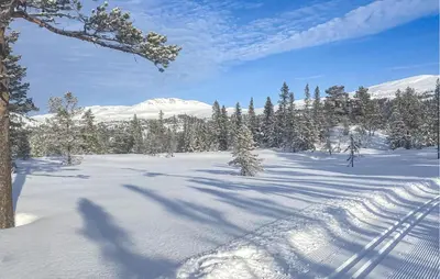 a snow covered field with trees and a mountain at Amazing Home In Eggedal With Sauna in Eggedal