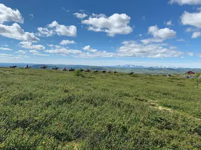 a herd of horses grazing in a field of grass at Modern Cabin With Views Of Hallingskarvet in Torpo