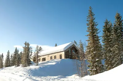 a house in the snow with snow covered trees at Modern Family Cabin With Trysil Mountain Views in Trysil