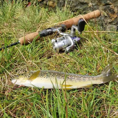 a fish on the ground next to a gun and a knife at Stall Rygg Mountain Cottage, Gloppen