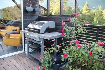 a grill on a patio with roses on a deck at Idyllic house with views - close to nature in Nydalen
