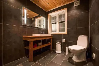 a bathroom with a toilet and a sink and a mirror at Family Cabin For Many In The High Mountains in Hovet