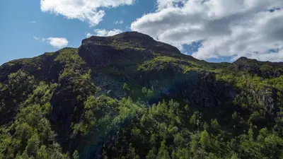 a mountain covered in green trees and a blue sky at Spacious Family Apartment in Hemsedal, Ski In-Out, Sauna, 30m from Skarsnuten hotell in Hemsedal