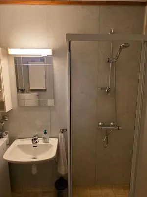 a bathroom with a sink and a shower at Rom 3 i bufellesskap in Sogndal