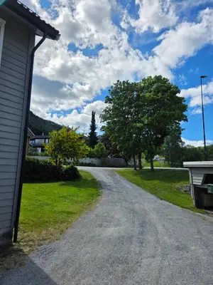 a dirt road next to a house with a tree at Rom 3 i bufellesskap in Sogndal