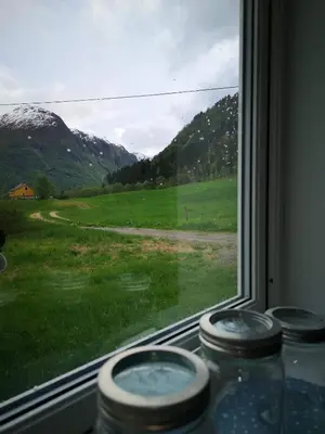 a view of a field from a window of a train at Hansali Holiday Home in Fjarland