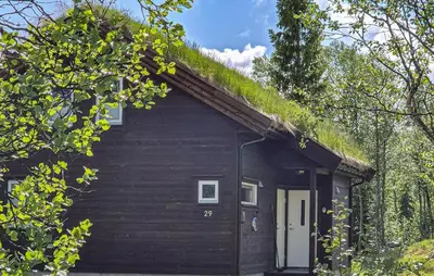 a black house with a grass roof with a white door at 4 Bedroom Gorgeous Home In Edland in Vågsli