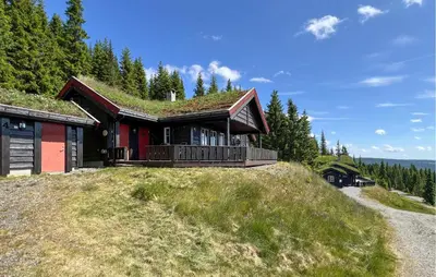 a house with a grass roof on top of a hill at Gorgeous Home In Sjusjøen With Sauna in Sjusjøen