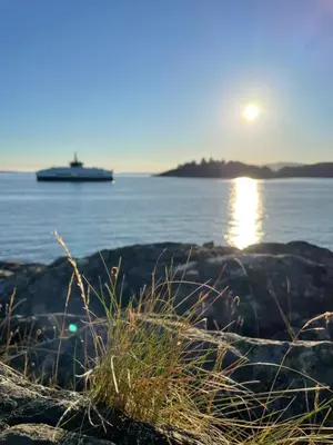a cruise ship in the water with the sun setting at Panorama leilighet in Lii