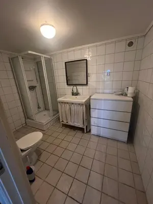 a bathroom with a sink and a toilet and a sink at Hybel leilighet på Rosanes, Teie in Lii