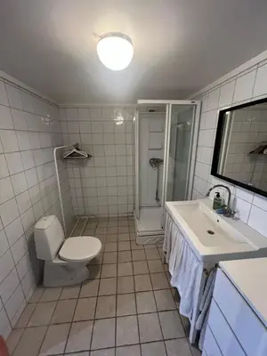 a bathroom with a toilet and a sink and a shower at Hybel leilighet på Rosanes, Teie in Lii