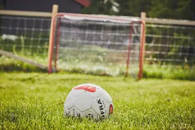 a soccer ball sitting in the grass next to a goal at Fisking i Valdres in Tisleidalen
