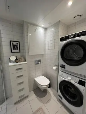 a bathroom with a washing machine and a toilet at Lys leilighet på Kaldnes in Lii