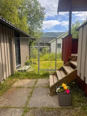 a basket of flowers sitting next to a fence at Martine's home in Lii