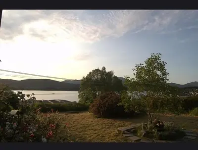 a view of a body of water with a tree at House close to the beach with a view! in Ålesund