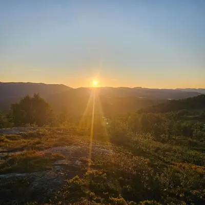 a sun setting in the middle of a field at Flott hytte i Elgtrakket 9, 3864 Rauland Skisenter - Holtardalen in Torvetjørn