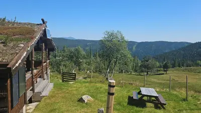a wooden cabin with a bench in a field at Authentic Secluded Mountain Cabin in Telemark with Panoramic Views