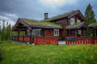 a log cabin with a grass roof at Trysilfjellet Sør 802 in Trysil