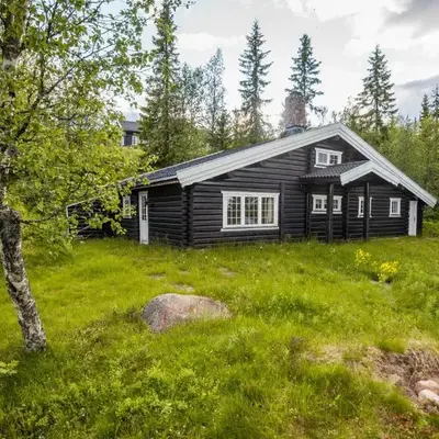 Trysilfjellet Sør 480