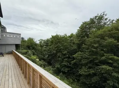 a wooden boardwalk leading to a house with trees at Moderne leilighet in Bergen