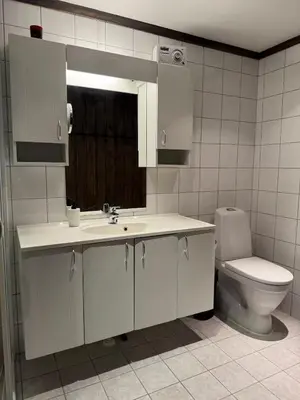 a bathroom with a white sink and a toilet at Norefjell Ski in - Ski out in Noresund