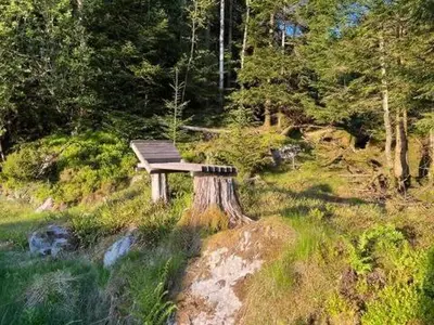 a wooden bench sitting on top of a tree stump at Haus Harald in Tysnes