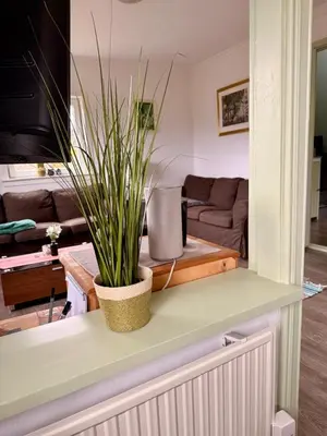 a plant sitting on a counter in a living room at Haus Harald in Tysnes