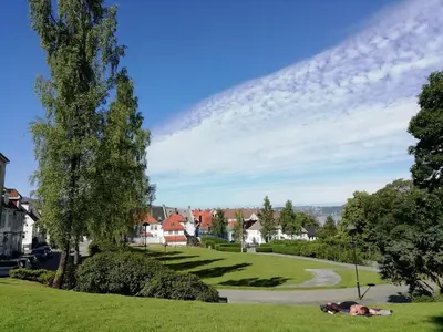 a person laying on the grass in a park at Cozy apartment - central! in Bergen