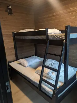 a bunk bed with a ladder in a cabin at 2 cabins surrounded by beautiful nature in Stryn