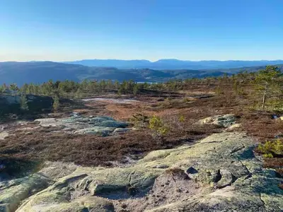 a view of a field with rocks and trees at Blefjell hytte med fantastisk utsikt in Kongsberg