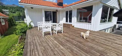 a dog standing on a wooden deck with a table and chairs at Hus ved sjøen, med strand og naust in Sauda