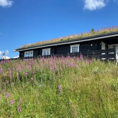 Hytte med panoramautsikt i Uvdal