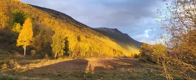 a dirt road in front of a mountain at Free EV Charging with Snacks and View in Blesom