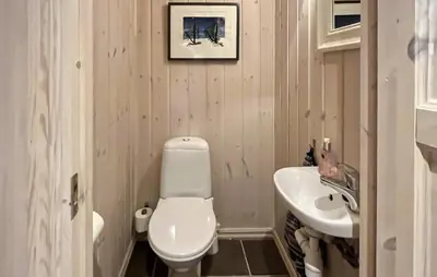 a bathroom with a white toilet and a sink at Gorgeous Home In Rauland With Sauna in Rauland