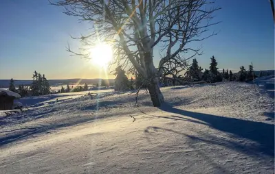 a tree in the snow with the sun in the background at Beautiful Home In Sjusjøen With Sauna in Sjusjøen