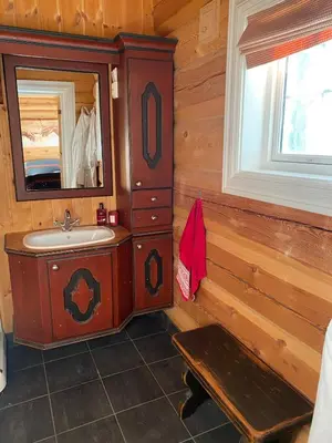 a bathroom with a sink and a mirror at Stor velutstyrt laftehytte med usjenert uteplass, flott utsikt og Jacuzzi in Eggedal