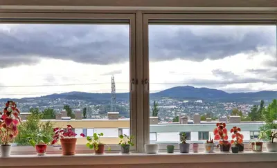 a window with potted plants sitting on a ledge at Private Room in a shared Apartment with Mountain Views & Greenery in Trondheim