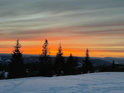 a group of trees on top of a snow covered hill at Cabin With Panoramic Views In Hafjell in Øyer