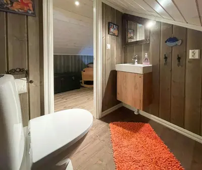 a bathroom with a toilet and a sink at Family Cabin In Rauland in Rauland