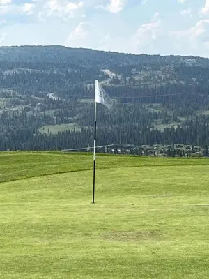a flag in the middle of a green field at Modern Cabin With Views Of Skeikampen in Svingvoll