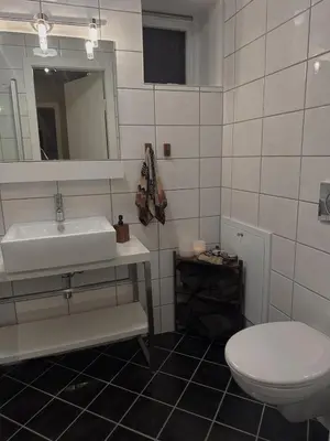 a bathroom with a white sink and a toilet at Elegant city apartment in Bergen- Private outdoor patio and free parking in Bergen