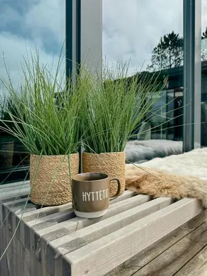 two potted plants sitting on a wooden table at Modern Cabin With Archipelago Views in Bremnes