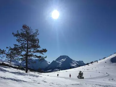 a snow covered slope with a tree and a mountain at Great cabin in beautiful nature in Ørsta