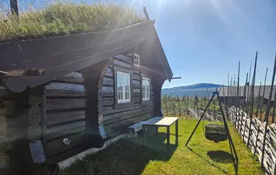 a log cabin with a grass roof and a bench at Lovely Home In Røn With House A Mountain View in Ron