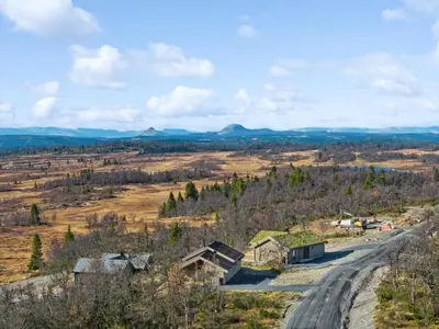 a road in the middle of a field with trees at Hedda Lenningen - 3 bedroom cabin with view towards Langsua National Park in Etnedal